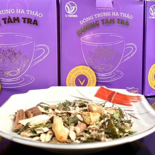 Đông Trùng Hạ Thảo